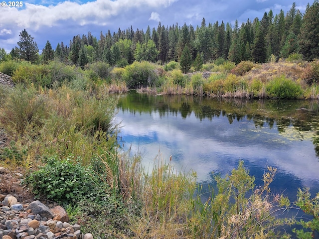 water view with a forest view