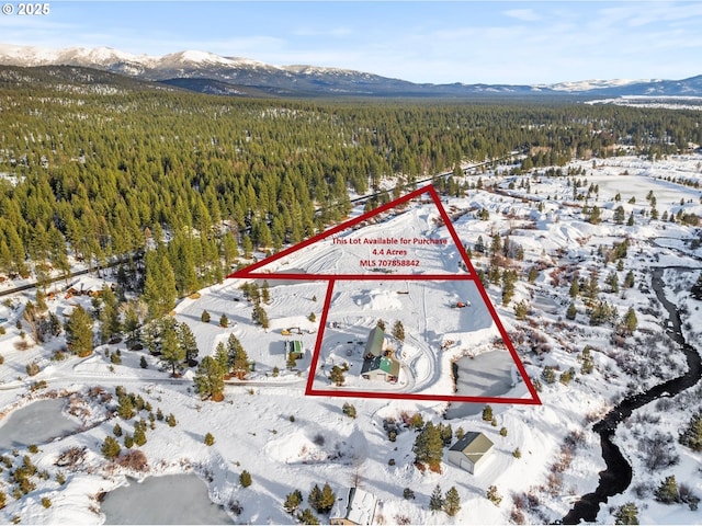 snowy aerial view featuring a view of trees and a mountain view