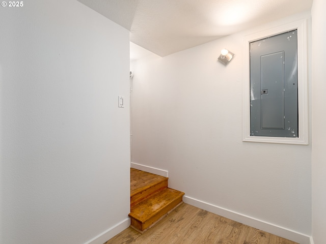 staircase featuring hardwood / wood-style floors and electric panel