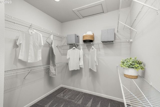 2484 SE Teal Ave, Gresham, OR 97080 - spacious closet with attic access and dark colored carpet
