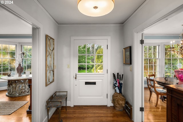 entryway featuring wood finished floors, plenty of natural light, a chandelier, and crown molding