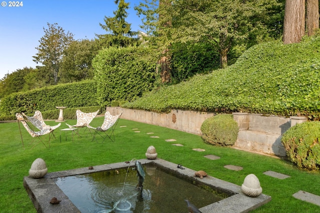 view of green lawn