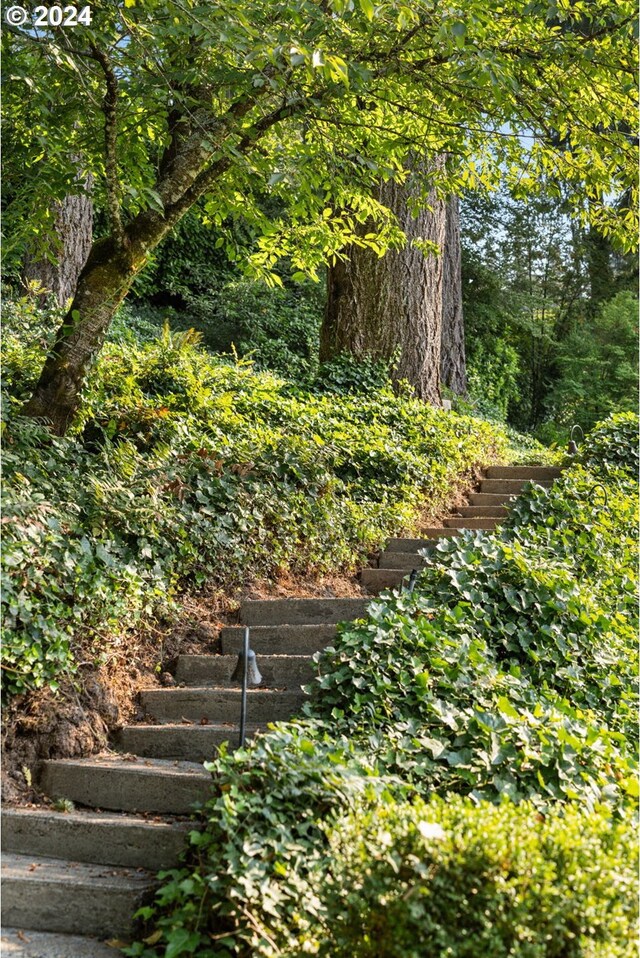 view of yard featuring stairway