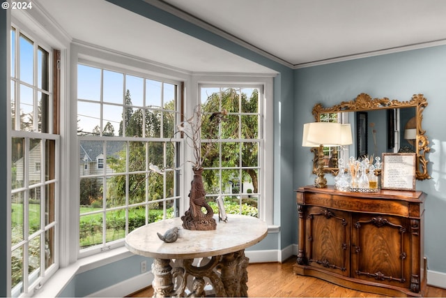 doorway to outside featuring wood finished floors, baseboards, and crown molding