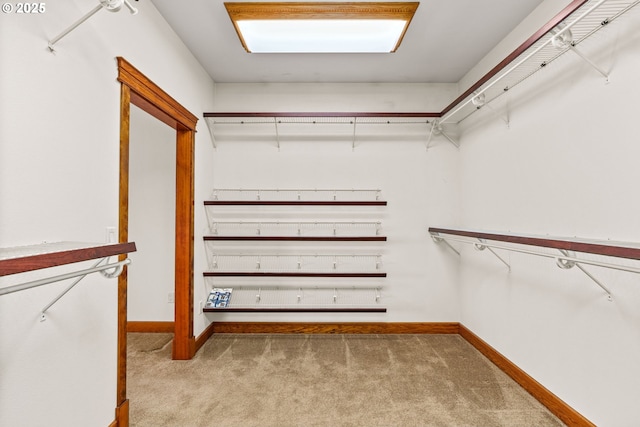 walk in closet featuring light colored carpet