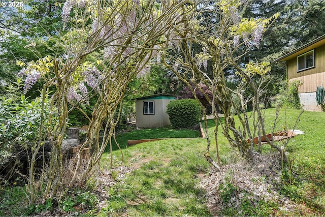 view of yard with an outbuilding