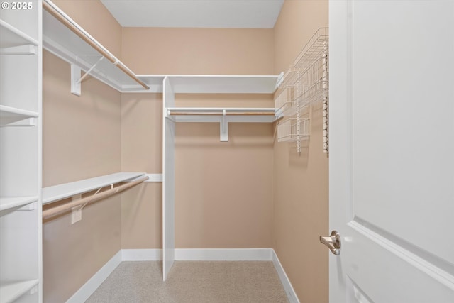 view of walk in closet