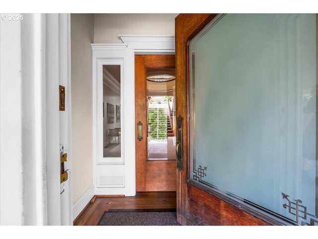 entryway with dark wood-type flooring