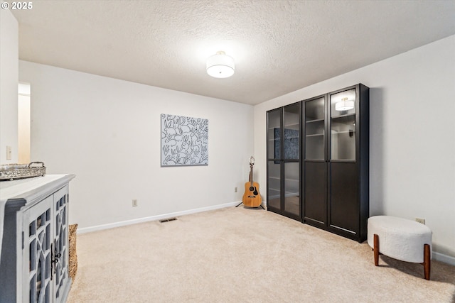 interior space with a textured ceiling and carpet