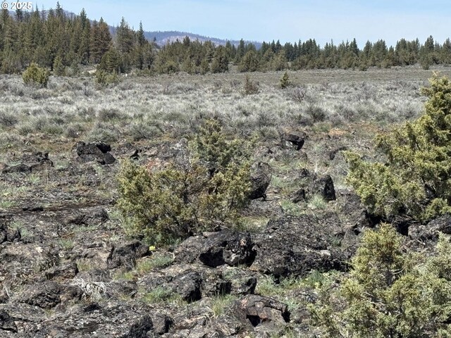 Oregon Pines Rd Unit 1200, Beatty, OR 97621