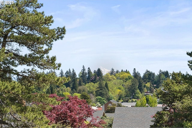 62 Condolea Ter, Lake Oswego, OR 97035 - view of community