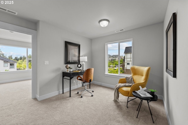 office area with plenty of natural light, carpet flooring, and visible vents