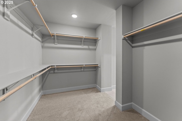 walk in closet featuring carpet floors