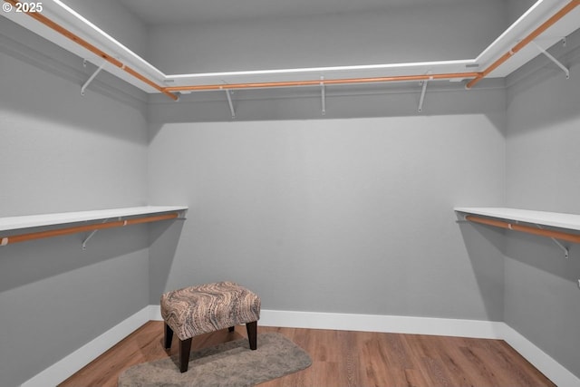 83591 Sauter Dr, Florence, OR 97439 - spacious closet with wood finished floors