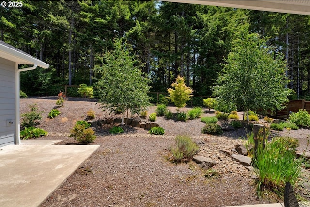 83591 Sauter Dr, Florence, OR 97439 - view of yard with a patio area