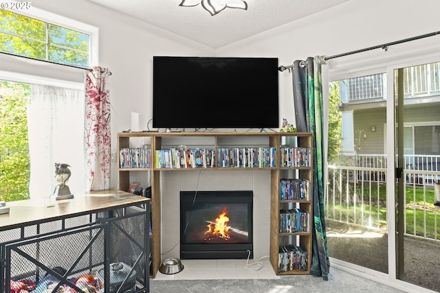 14600 SW Magpie Ln Unit 102, Beaverton, OR 97007 - living area featuring plenty of natural light and a tile fireplace
