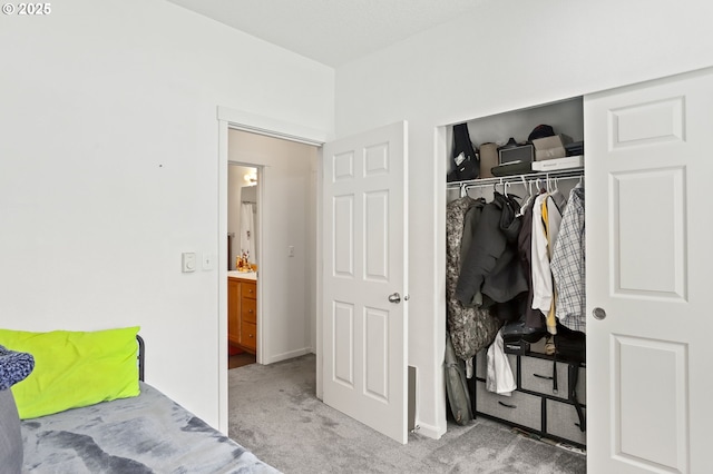 14600 SW Magpie Ln Unit 102, Beaverton, OR 97007 - view of closet