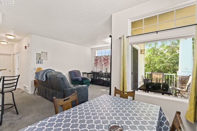 14600 SW Magpie Ln Unit 102, Beaverton, OR 97007 - dining space with carpet floors and a textured ceiling