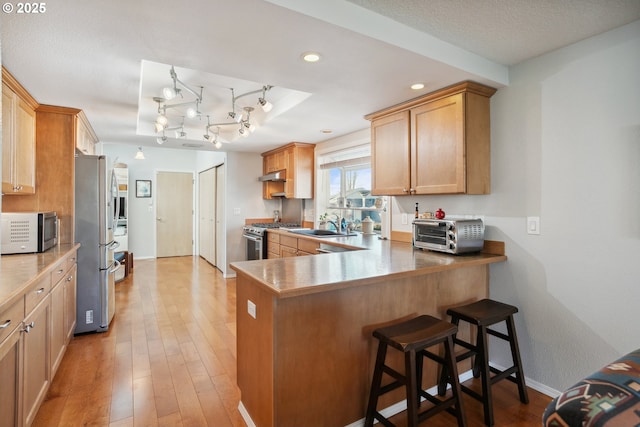 kitchen with a peninsula, a toaster, stainless steel appliances, and light wood-style floors