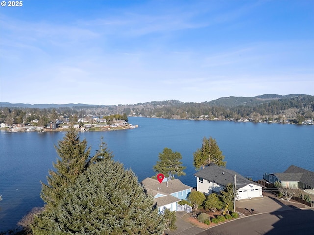 water view featuring a mountain view