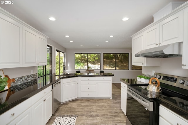 kitchen with stainless steel appliances, under cabinet range hood, a sink, dark countertops, and recessed lighting