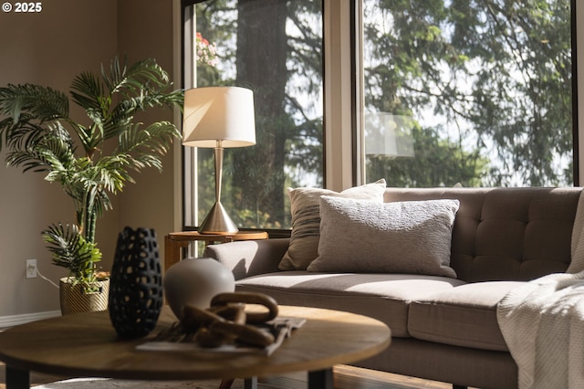 living room with plenty of natural light and baseboards