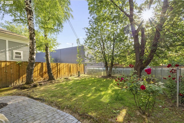1817 SE 12th Ave, Portland, OR 97214 - view of yard featuring a patio