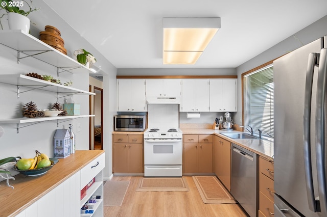 kitchen with open shelves, a sink, light countertops, stainless steel appliances, and light wood-style flooring