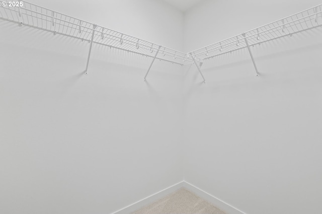 1912 NW 18th Ave, Battle Ground, WA 98604 - spacious closet with carpet flooring
