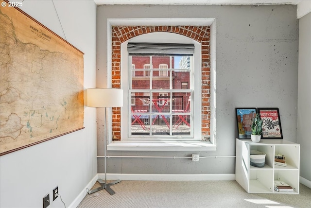 interior details featuring carpet and baseboards