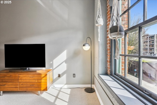 interior space featuring plenty of natural light and carpet flooring