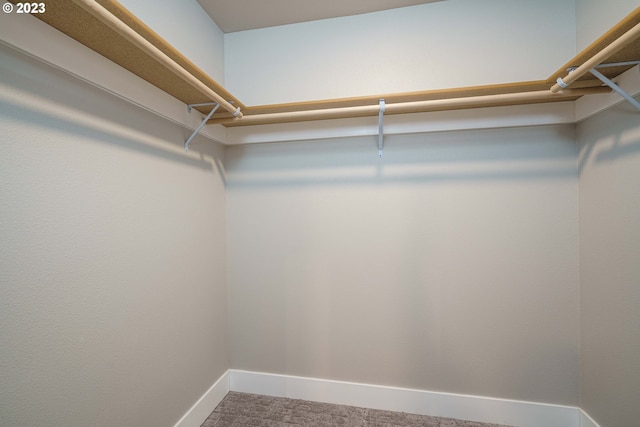 304 N Bridgeton Rd, Portland, OR 97217 - walk in closet featuring carpet floors