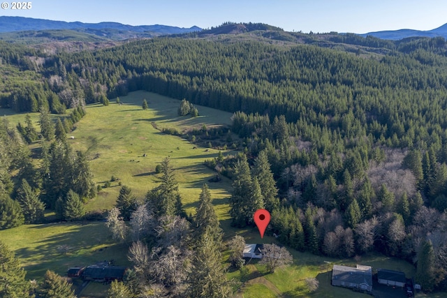 birds eye view of property featuring a mountain view