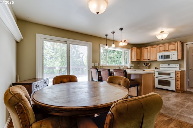 488 Pinto Way, Eugene, OR 97401 - view of dining space