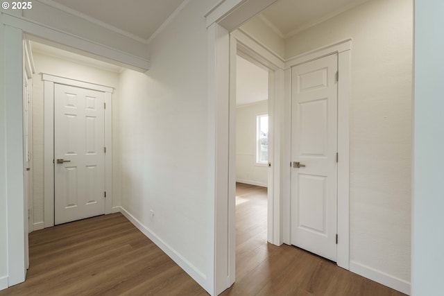 corridor with wood-type flooring and ornamental molding