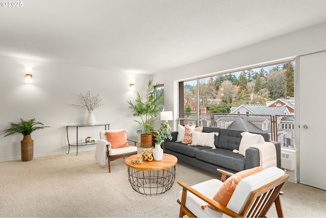 living area featuring carpet