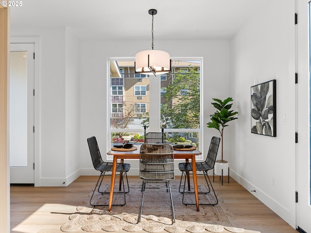 dining room featuring wood finished floors, a chandelier, and baseboards