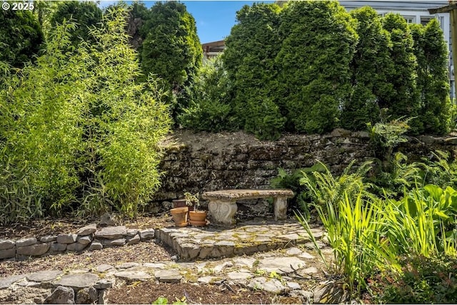 1968 SE 25th Ave, Portland, OR 97214 - view of yard
