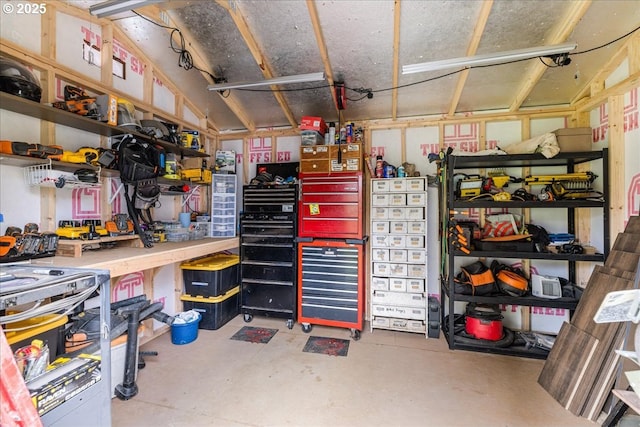 storage featuring a garage