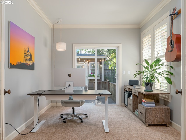 17356 Bryant Rd, Lake Oswego, OR 97035 - office area with carpet flooring, crown molding, and baseboards