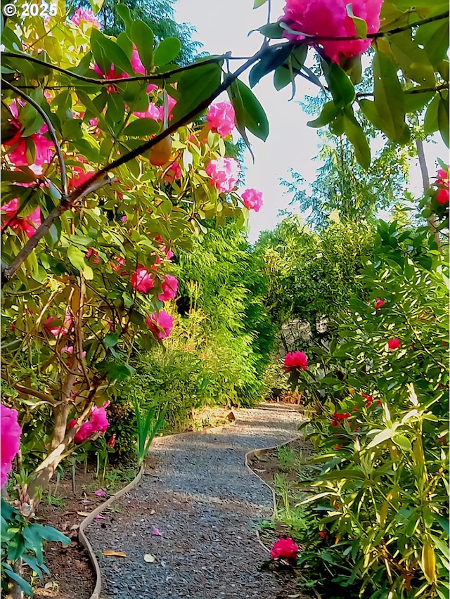 930 Timberline Dr, Brookings, OR 97415 - view of yard
