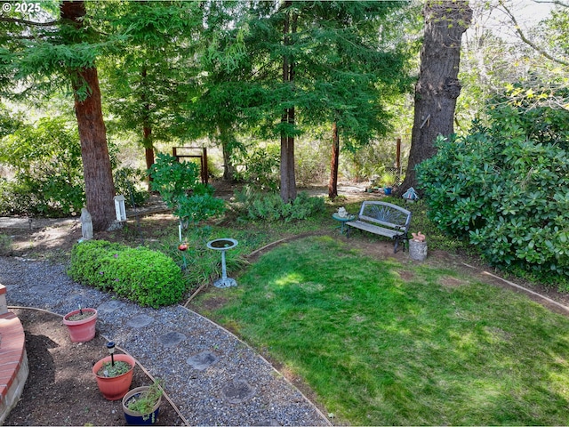 view of yard
