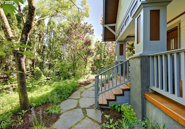 view of yard