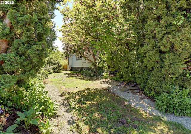 view of yard
