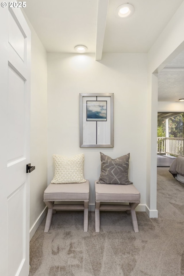 living area with carpet