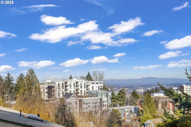 property view of mountains