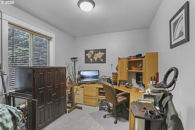 office space featuring carpet and a textured ceiling