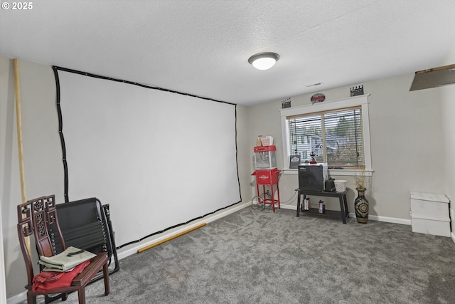 carpeted office space featuring a textured ceiling