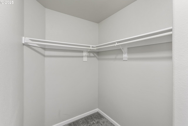 walk in closet featuring carpet
