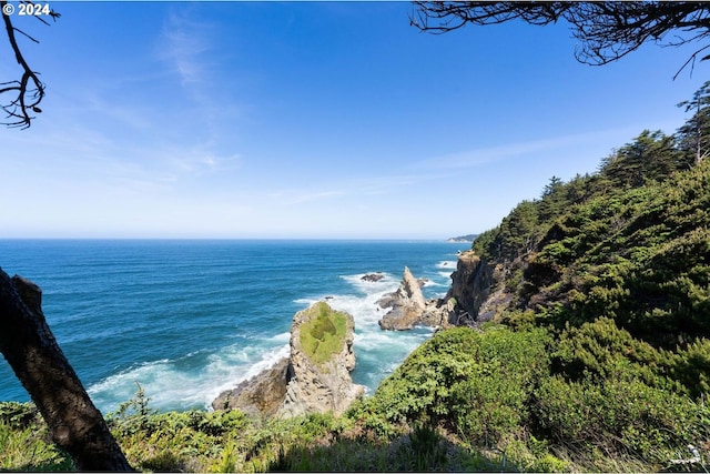 88515 Pacific Surf Ln, Bandon, OR 97411 - view of water feature
